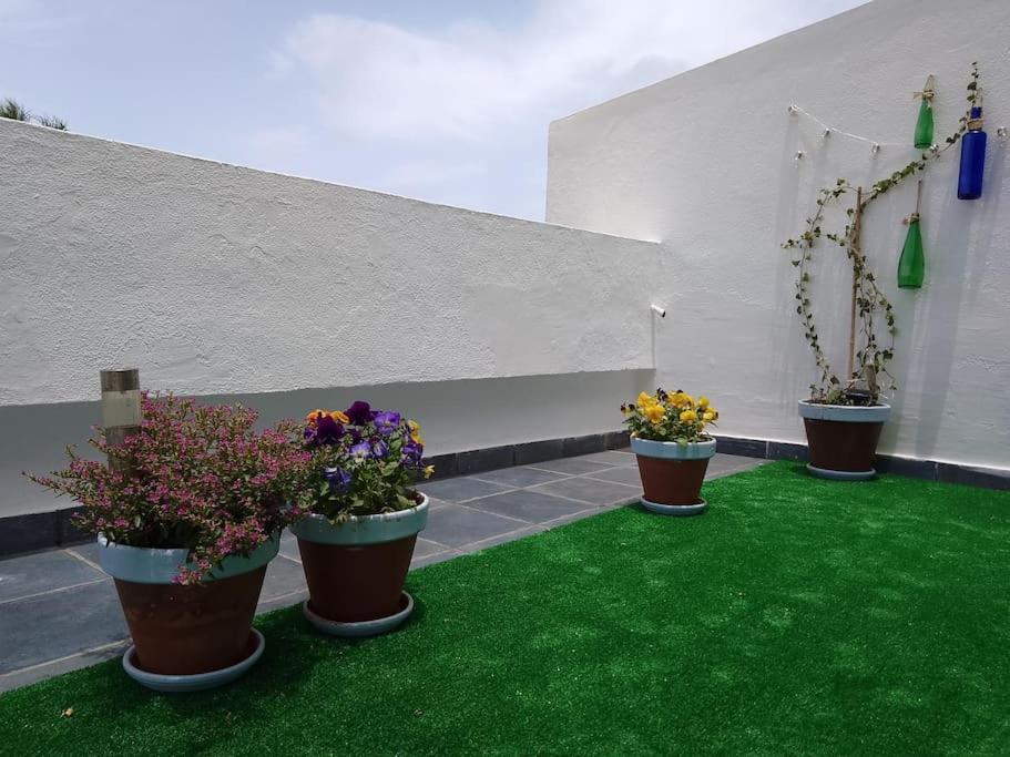 Apartamento Humboldt ,Island Paradise La Orotava Exteriér fotografie