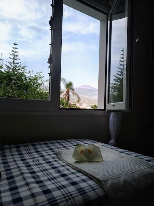 Apartamento Humboldt ,Island Paradise La Orotava Exteriér fotografie